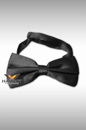 หูกระต่าย โบว์